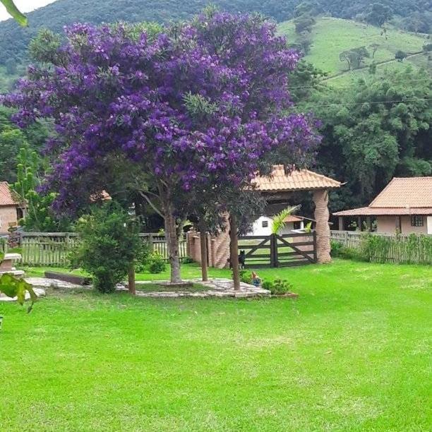 Recanto Das Flores São Tomé das Letras Eksteriør billede