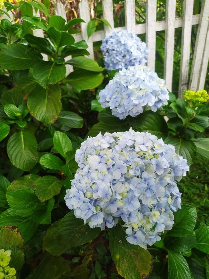 Recanto Das Flores São Tomé das Letras Eksteriør billede