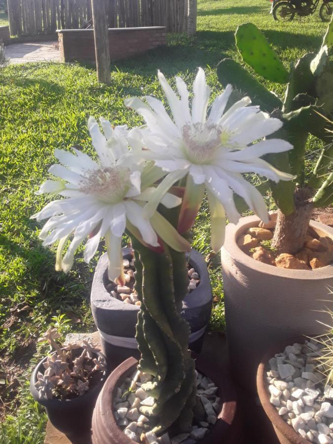 Recanto Das Flores São Tomé das Letras Eksteriør billede