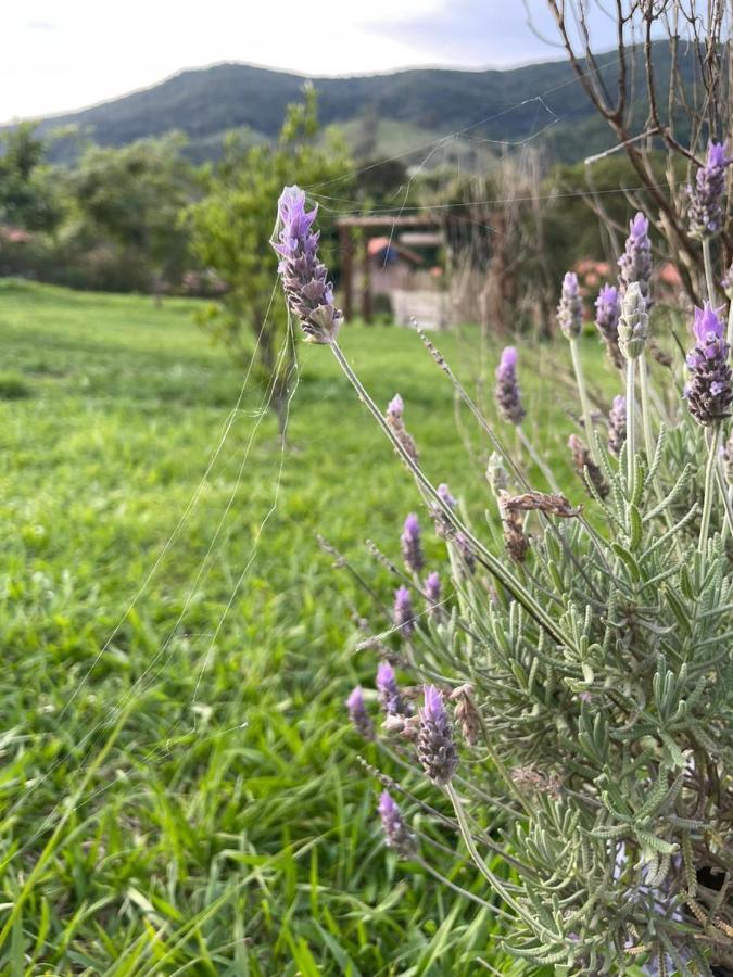 Recanto Das Flores São Tomé das Letras Eksteriør billede